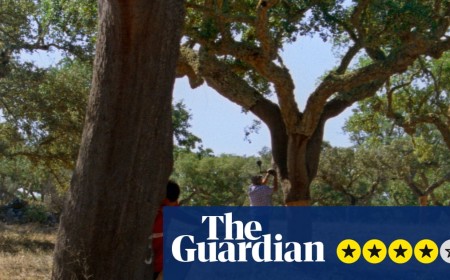 The Seasons review – Portuguese pastoral offers poetic excavation of myth and mapping