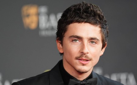 Timothée Chalamet’s First Major Role Was In A 96-Episode Spy Thriller Masterpiece Now On Netflix