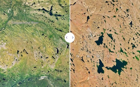 The First Fall Color of 2026 As Seen From Space