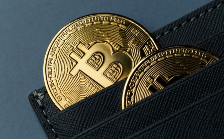 Trezor, BitBox users targeted in newsletter phishing spree