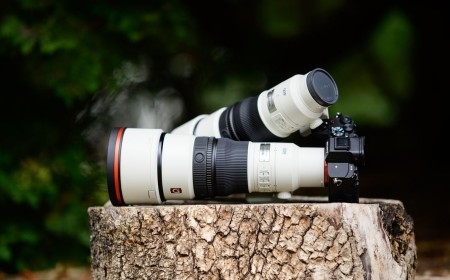 Sony’s new 400mm and 600mm super-telephoto primes make light work of a heavy hobby — here are my favorite wildlife photos I shot with the pair