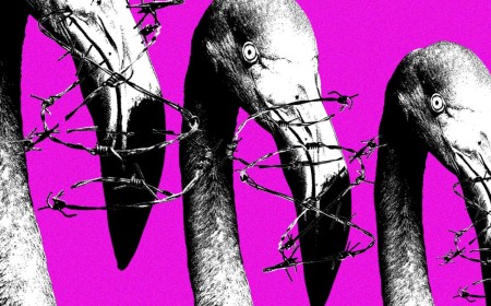 Meta’s Copyright System Is Being Weaponized Against Albanian Protesters