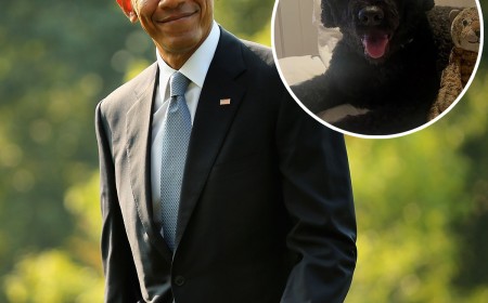 Barack Obama Mourns Death of Beloved Family Dog Sunny