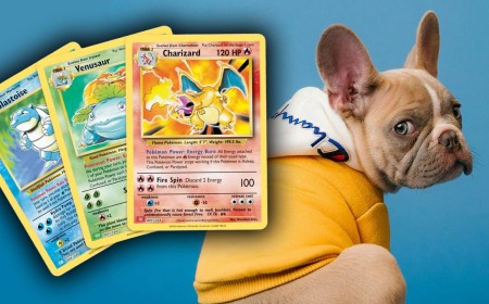 Dog Breeders Are Offering Puppies in Exchange for Pokemon Cards
