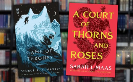 If These 8 Fantasy Books & Series Were Written By Women, They’d Be Considered Romantasy