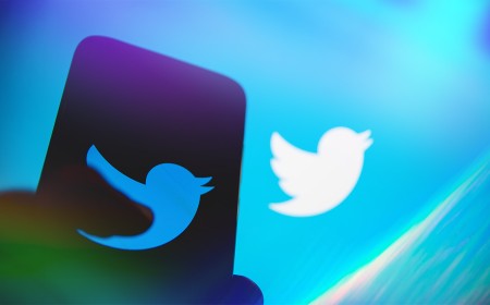 Judge Lets Musk Keep ‘Twitter’ for Now but Forces Him to Release the Bird
