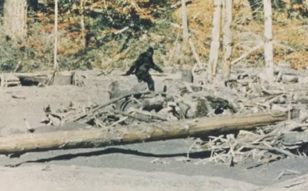 New Documentary ‘Capturing Bigfoot’ Blows the Legend of the Sasquatch Wide Open — Watch Trailer