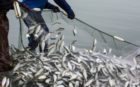 Cybercrooks trawl Fishbrain to net password hashes