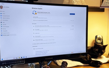Windows 11 out-of-band update fixes audio glitch and other bugs – grab it now