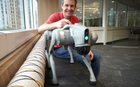 I spent $4,000 on a robot dog from China