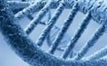 Google DeepMind rises above the AI scrum with genome atlas