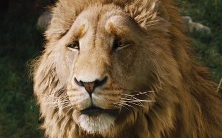 Netflix’s Chronicles of Narnia Reboot Reveals Official First Look