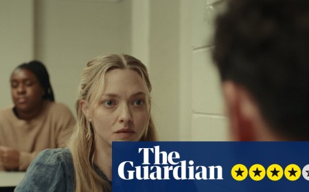 The Life and Deaths of Wilson Shedd review – Amanda Seyfried compels in wrenching prison drama