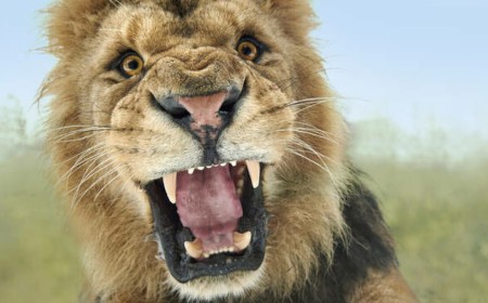 Nscale swallows lion's share of UK datacenter investment
