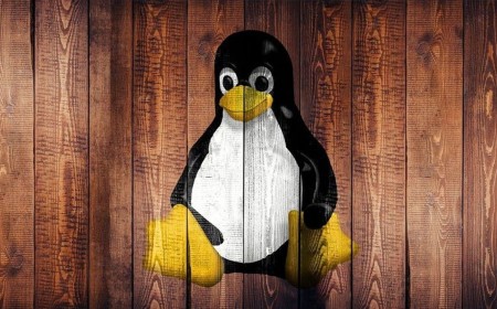 Linux users beware — CISA flags three major security issues you need to patch right now