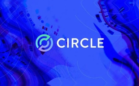 Circle stock leads tokenized equity market with $306M in deployments
