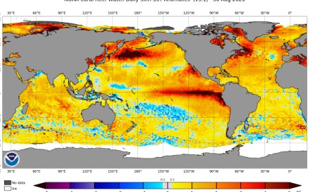 El Niño is now stronger than at any point in the last 1,000 years, study finds