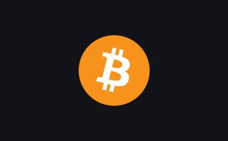 Spot Bitcoin ETFs pull in $313M net inflow through first 18 days of September