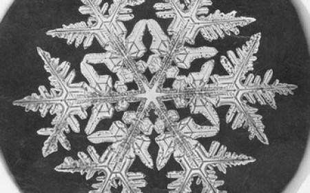 How the First Photograph of a Snowflake Took a Vermont Farmer 46 Years
