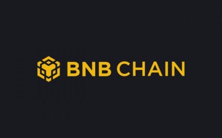 BNB Chain adds 985K stablecoin holders in a single week, dwarfing every other network