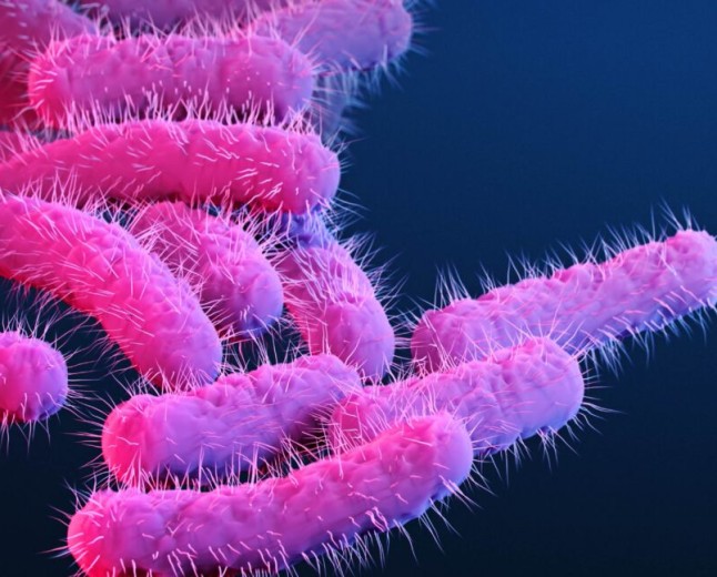 150 research primates got diarrhea, flooding lab with priceless vaccine data