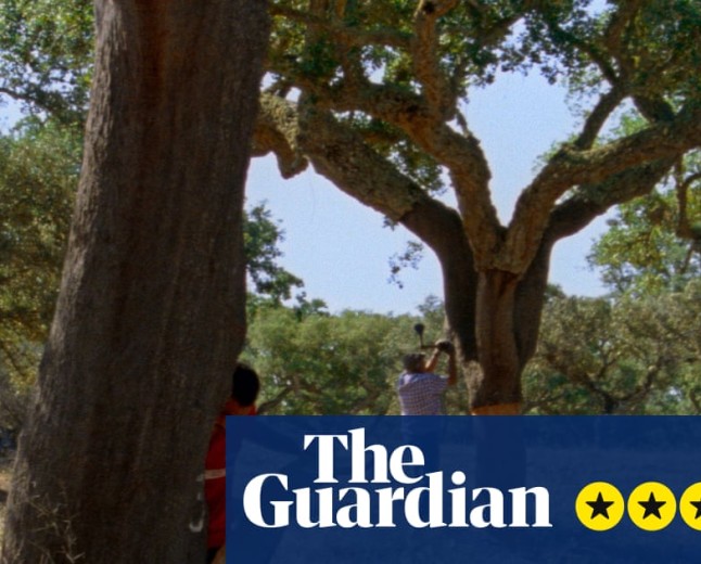 The Seasons review – Portuguese pastoral offers poetic excavation of myth and mapping
