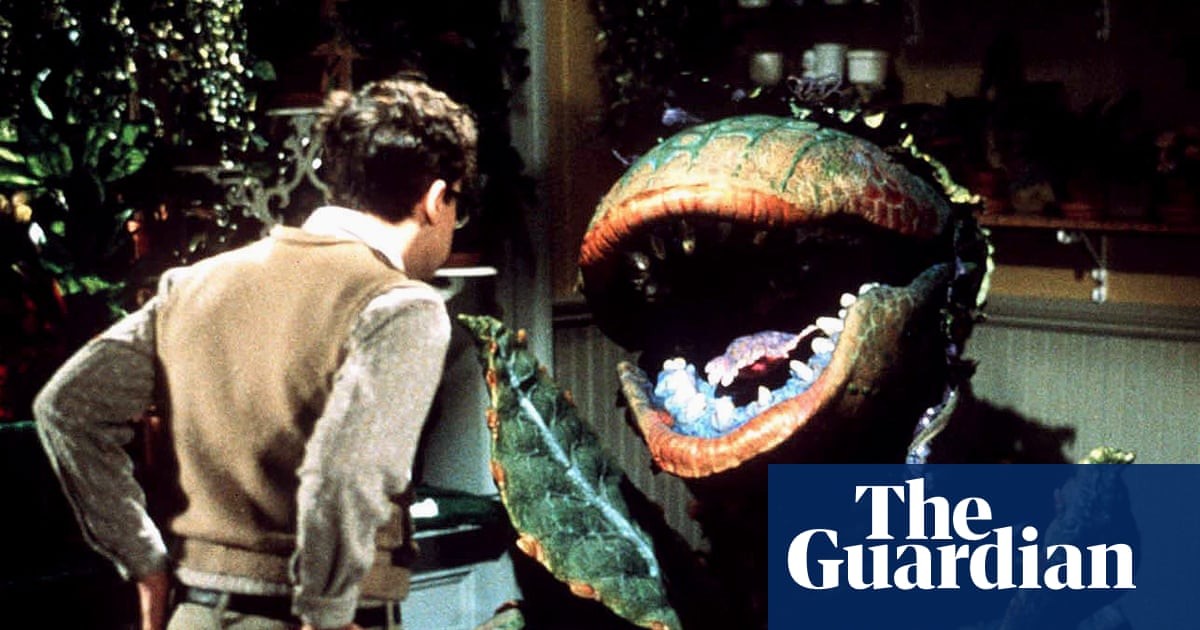 ‘Exceptionally crafted’: why Little Shop of Horrors is my feelgood movie