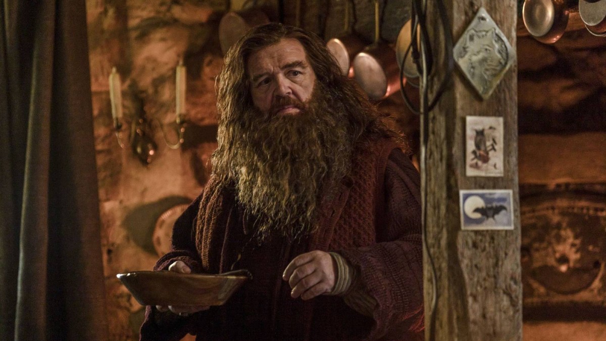 HBO's Harry Potter Only Has One Chance To Win Back Its Doubters