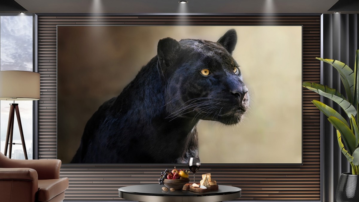 The dream home theater TV? 111-inch OLED TVs might be coming as LG Display explores larger sizes