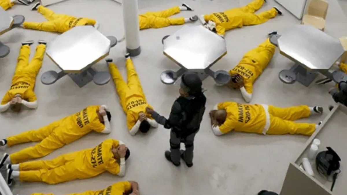 The most disturbing reality shows of all time as Netflix's Stanford Prison Experiment recreation is branded 'insulting, repellent and depraved'