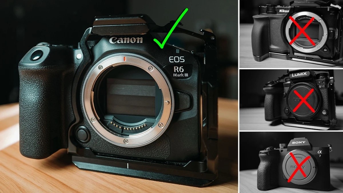 Is Canon Still the Safest Camera Brand for Paid Video Work?