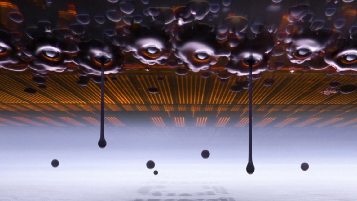 Ink droplets in motion snag top prize in Nikon Small World contest