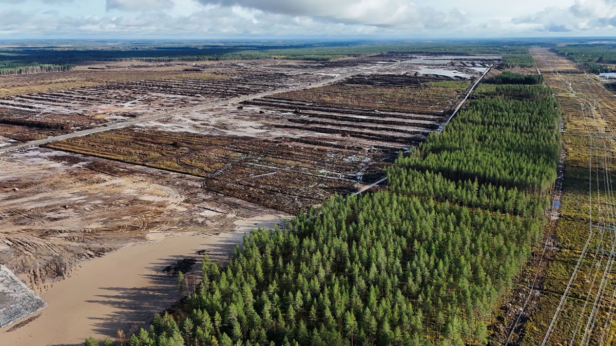 Google hit with criminal probe over unapproved AI data center deforestation — 816 acres of forest destroyed in Finland as wolves flee into local villages, facility threatens 40% power bill hikes