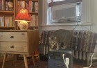 How I kept cool with NYC's free battery program for window AC units
