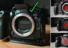 Is Canon Still the Safest Camera Brand for Paid Video Work?