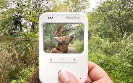 Godox C100 Review: A Camera With No Rear Screen and No Pressure
