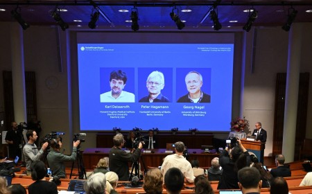 Who Won the Nobel Prize in Medicine 2026? Meet the 3 Scientists