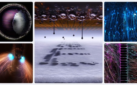 The winner of Nikon’s Small World competition shows the microscopic, magic world of printers