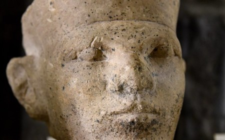 New forensic evidence supports Egyptian "retainer sacrifice"