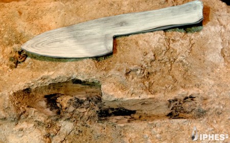 Neanderthal wooden tools from Spain found preserved in stone