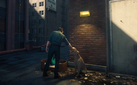 Where to find the mysterious dog's toy in Control Resonant