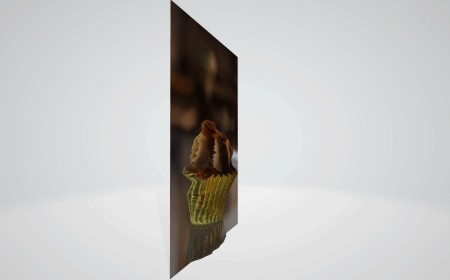 How to turn your Canon camera's images into 3D objects and videos with Canon's free DP3D software