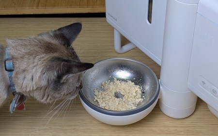 The Future of Wet Cat Food Dispensers Is Here. My Review of Neakasa Riko
