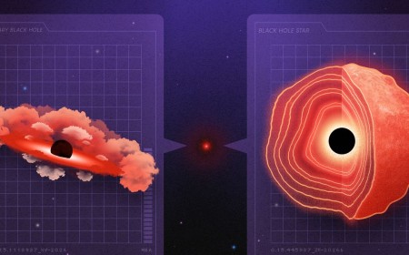 Inside the Supermassive Debate Over the James Webb Telescope’s ‘Little Red Dots’