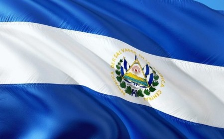 El Salvador’s Bitcoin reserve tops 7,800 coins despite IMF limits