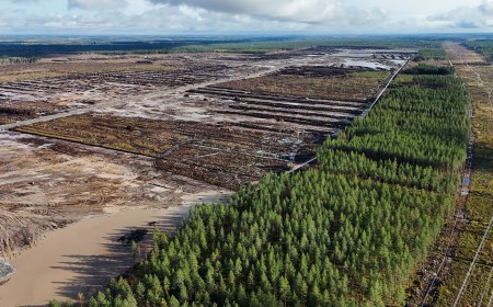 Google hit with criminal probe over unapproved AI data center deforestation — 816 acres of forest destroyed in Finland as wolves flee into local villages, facility threatens 40% power bill hikes