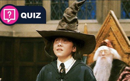 Which Hogwarts house does your tech say you belong in?