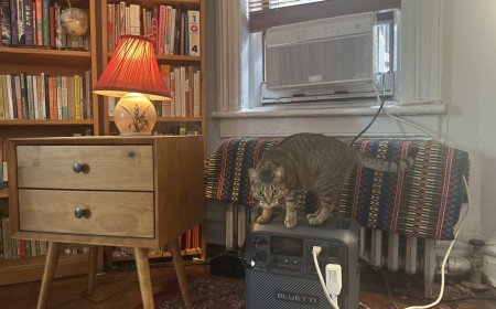 How I kept cool with NYC's free battery program for window AC units