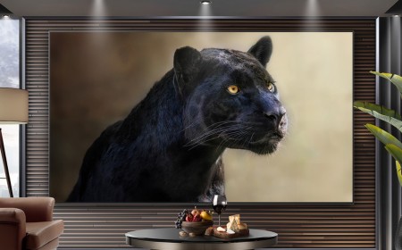 The dream home theater TV? 111-inch OLED TVs might be coming as LG Display explores larger sizes