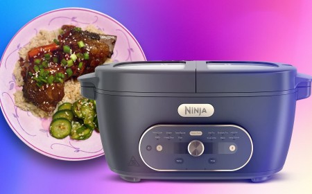 Is the Ninja MultiPot the Kitchen Appliance You Need, or Just the One You Want?